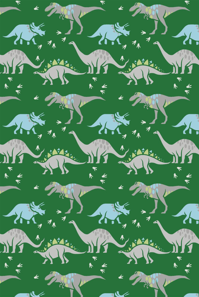 Kids Flannel Dinosaur Blanket 100x150cm - Winter Warm Packs