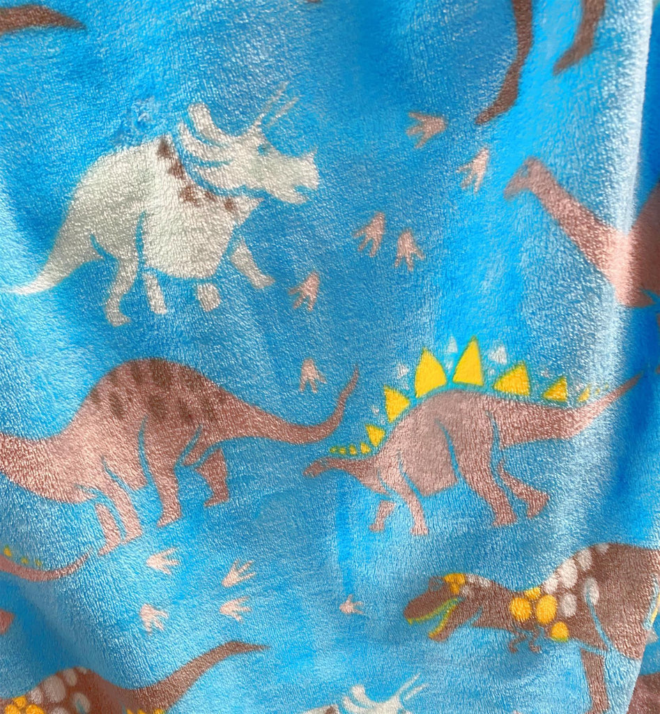 Kids Flannel Dinosaur Blanket 100x150cm - Winter Warm Packs